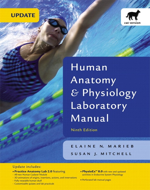 anatomy and physiology laboratory manual