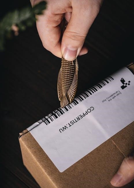 home care package manual for providers