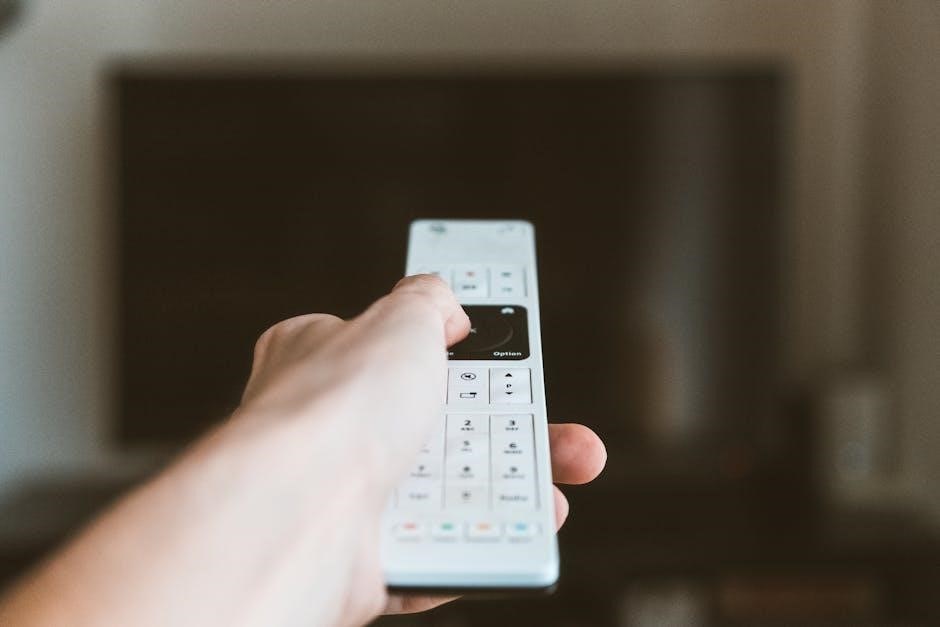 insignia tv remote control manual