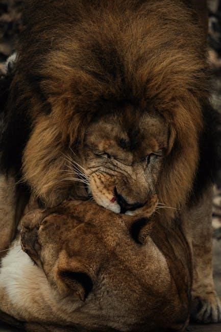 one night stand with the alpha king pdf