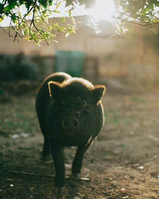 pdf three little pigs